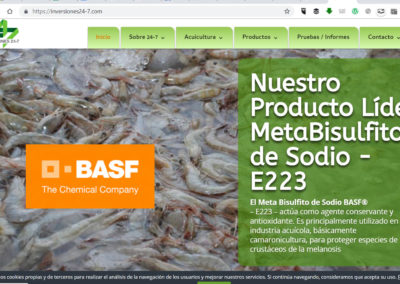 inversiones24-7.com